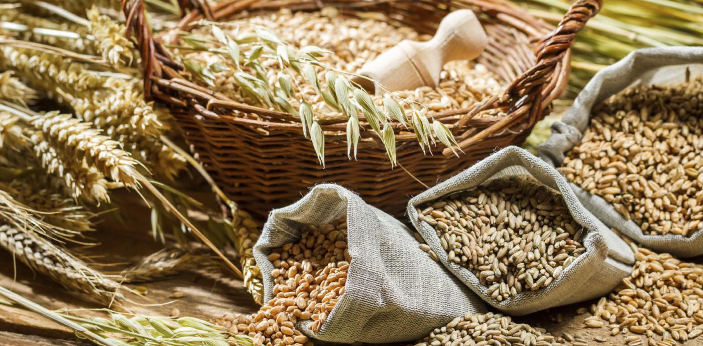 assorted whole grains in a basket and burlap bags