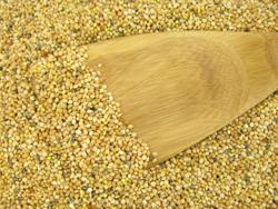 millet is one of many gluten-free grains