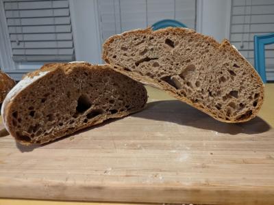 rustic loaf of whole wheat bread cut open at the center to reveal the crumb