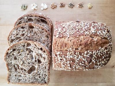 BirdDogBaking_with grain.jpeg