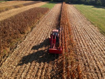 Red tractor harvesting field 