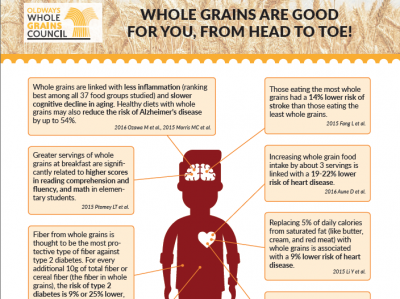 handout showing how whole grains are good for you