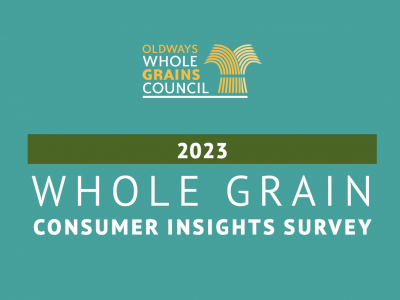 large version of consumer insights survey graphic