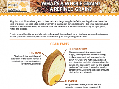 handout comparing whole grains, refined grains, enriched grains