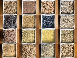 Grains in boxes