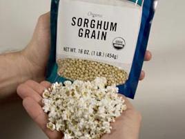 Who knew you could pop sorghum?