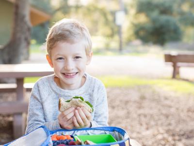 Young Boy Eating a Sandwich on Whole Wheat Bread