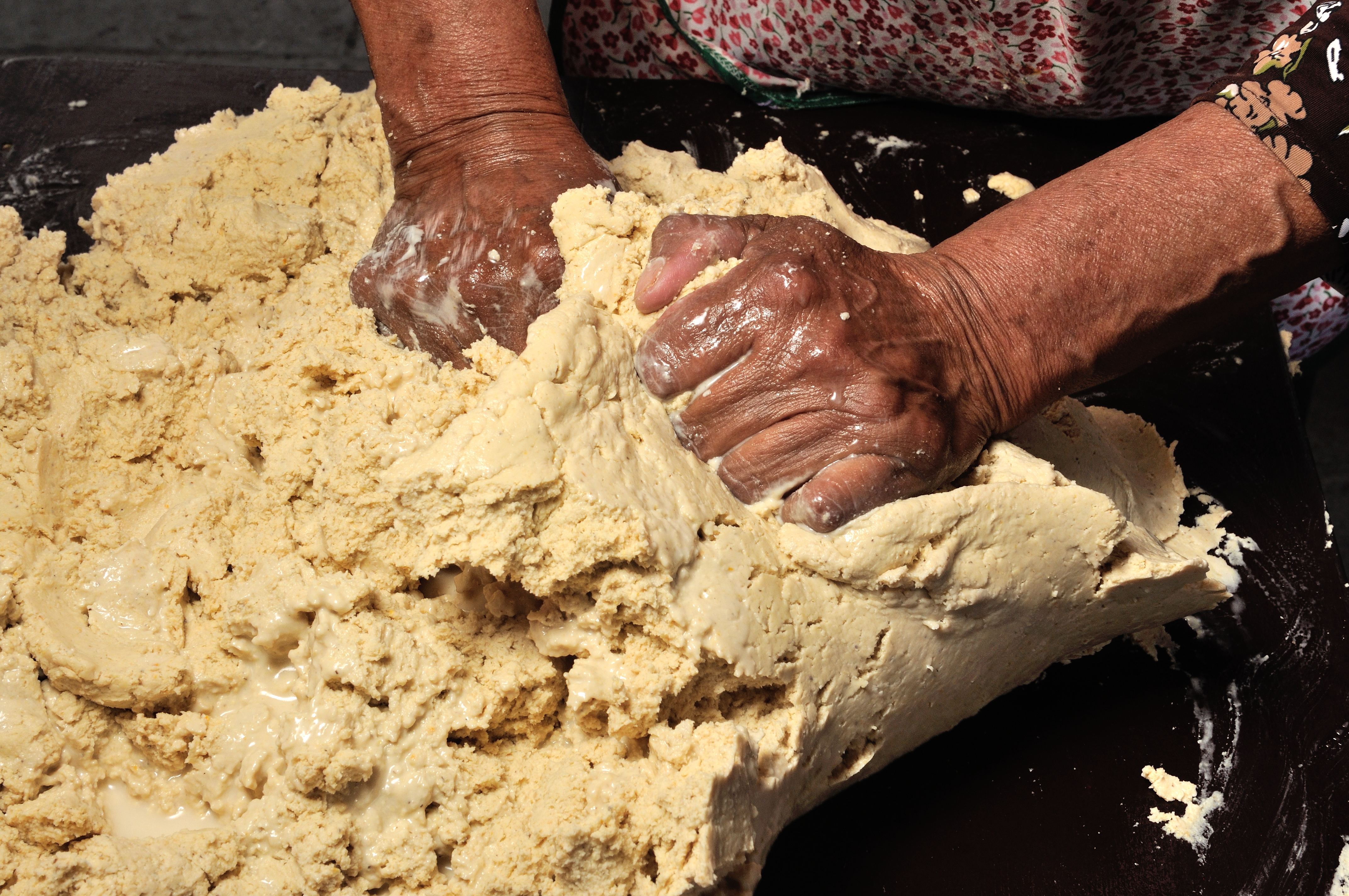 AdobeStock_431615639.jpeg