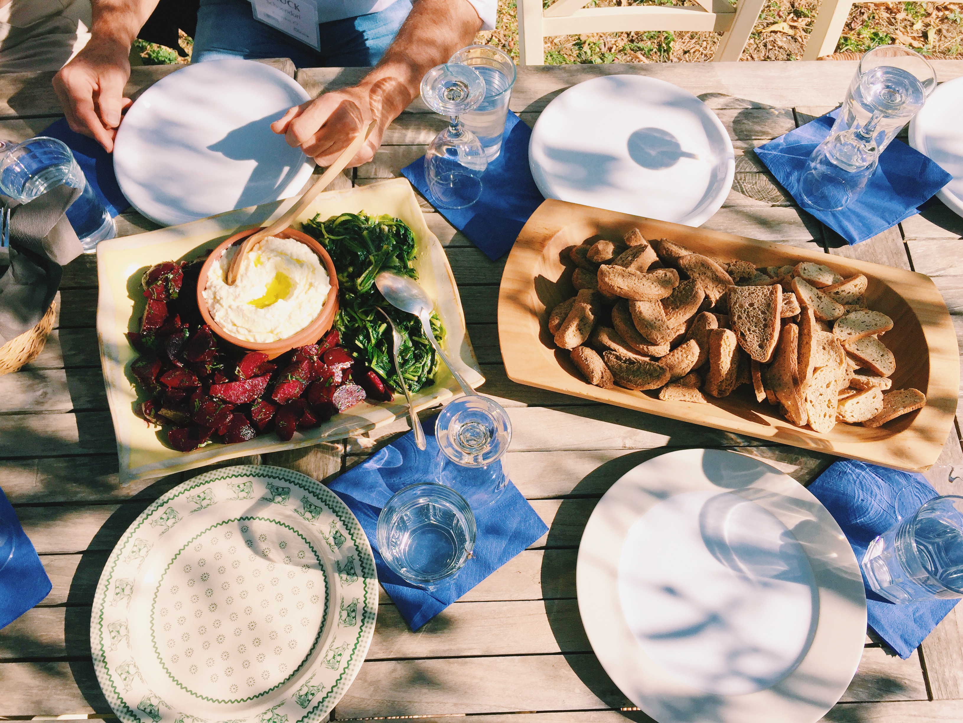 vegetable appetizers served with skordalia and barley rusks