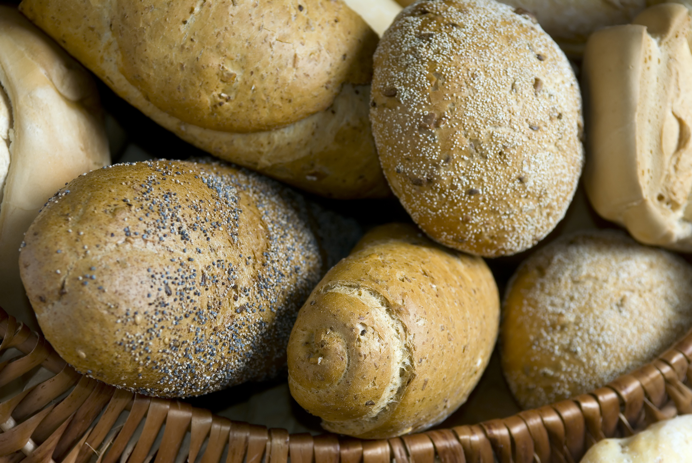 How do you identify whole grain breads?
