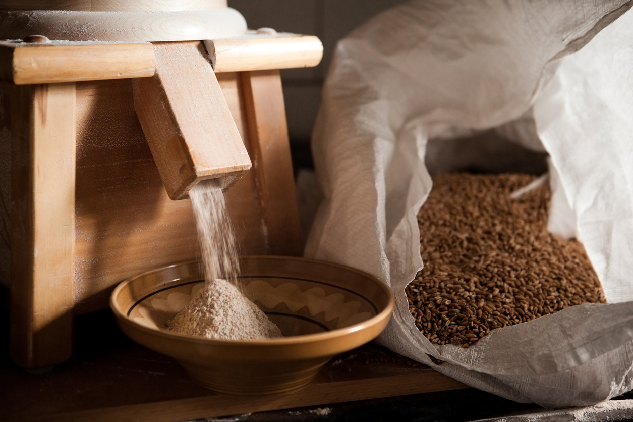 fresh milling: a conversation with grain guru maria speck | the whole grains council