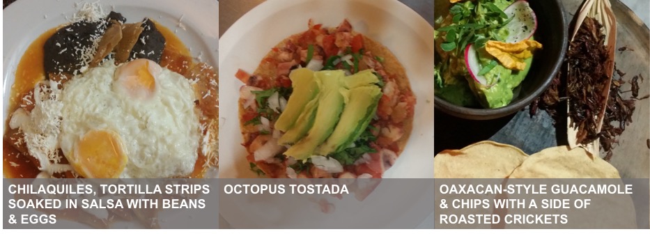three different Mexican meals with corn-based foods