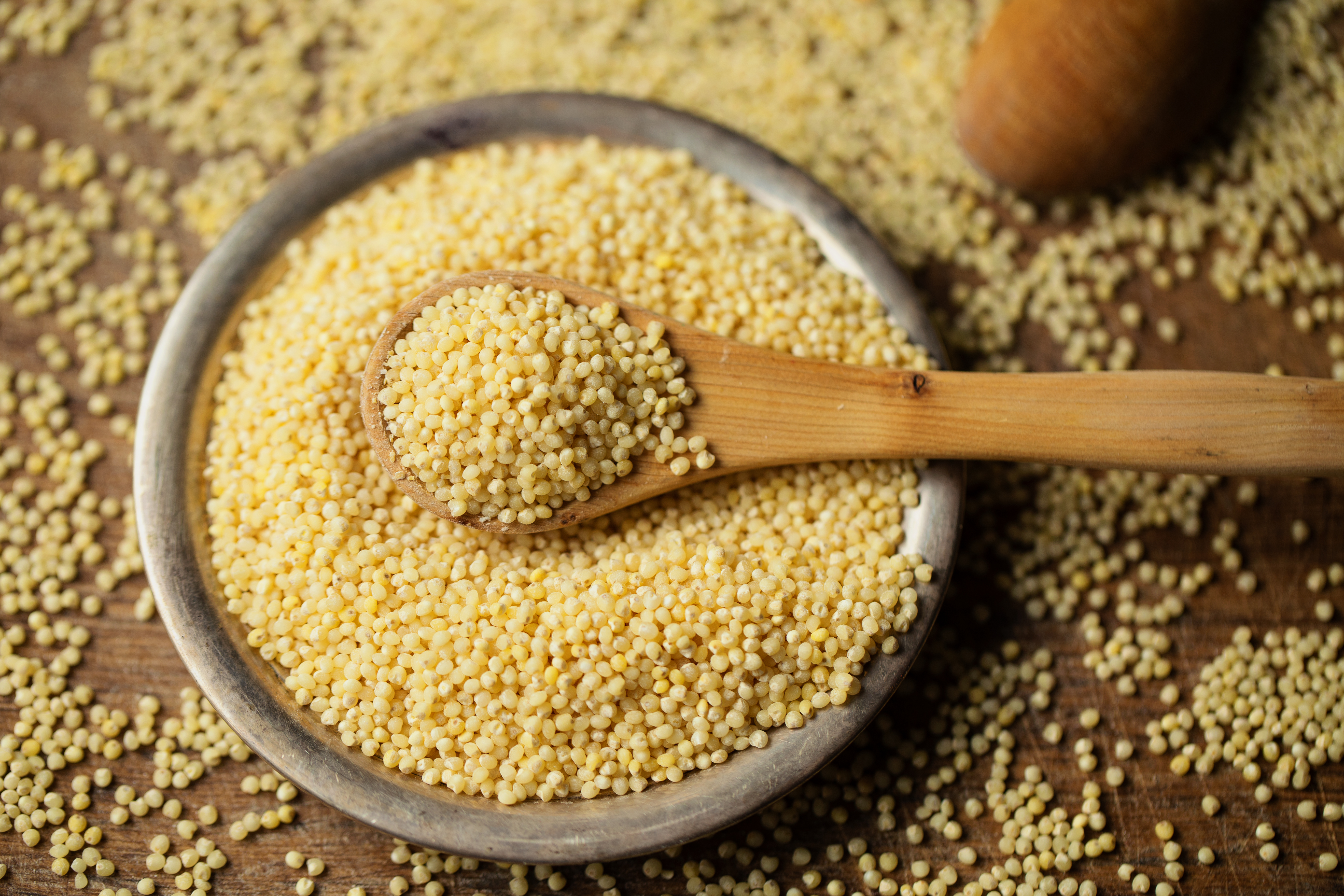 Bowl of millet grains