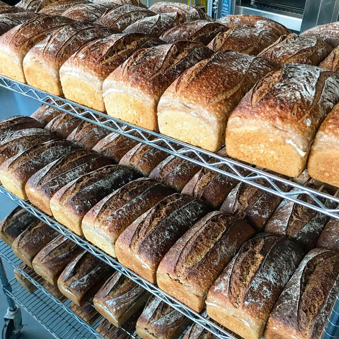 Loaves of Bread cooling on rack