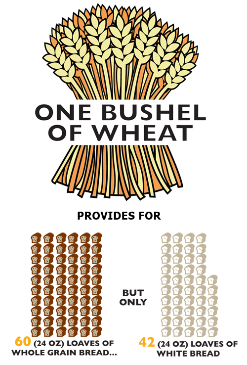 One Bushel Wheat makes 60 loaves whole wheat bread