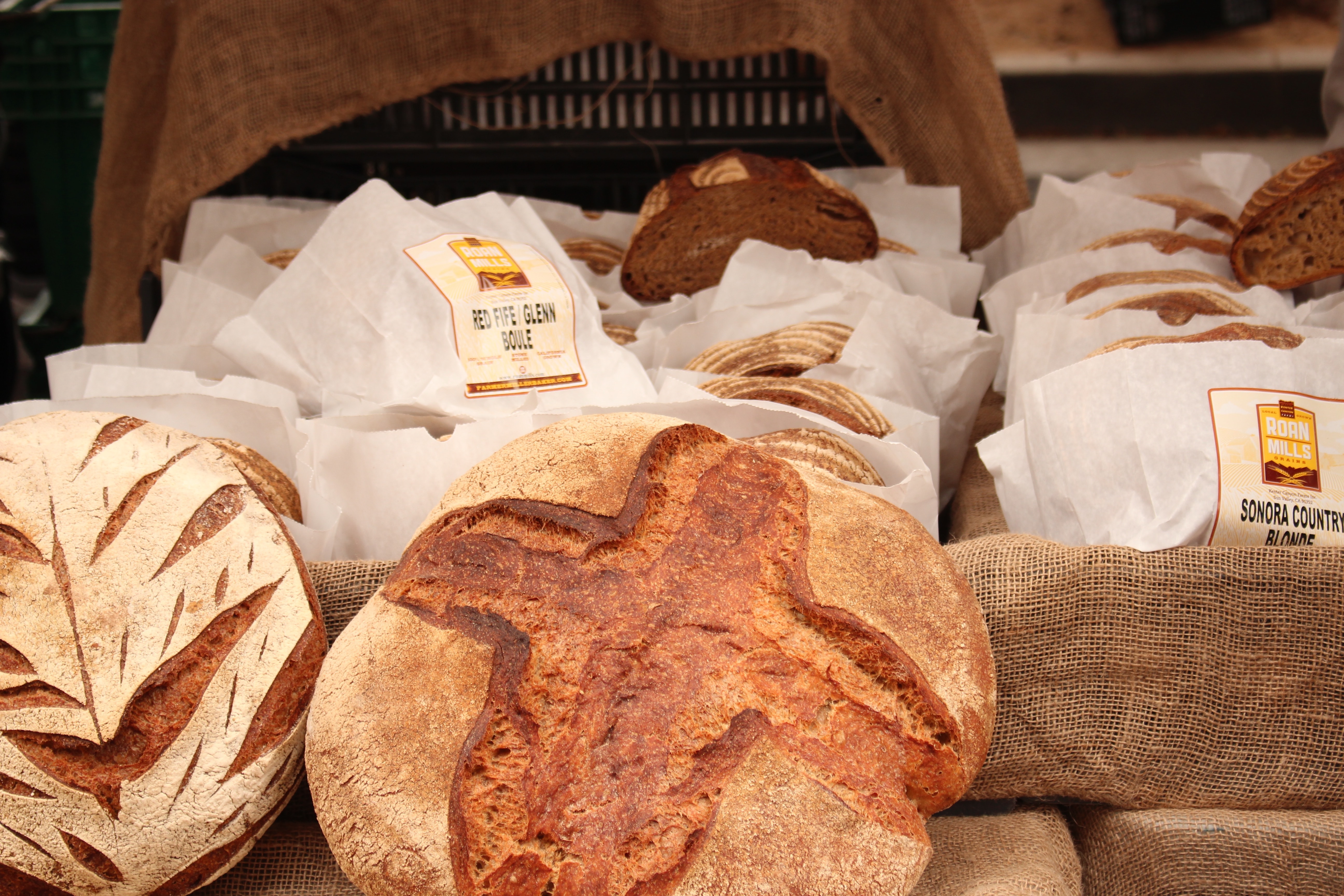 Loaves of bread