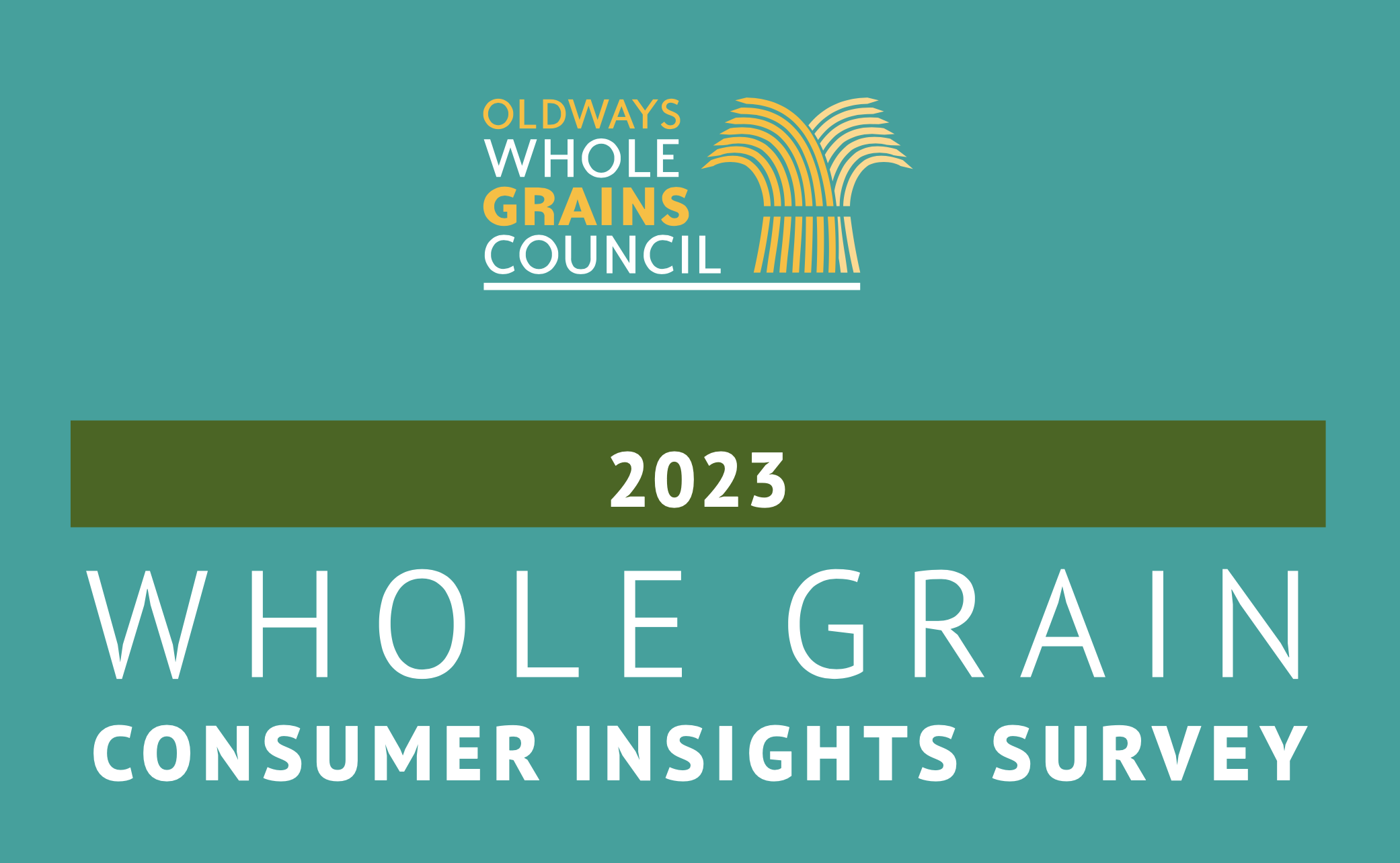 Whole Grain Consumer Insights Survey graphic