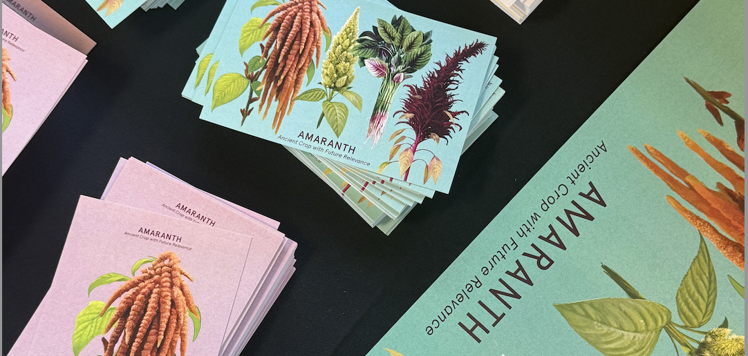 amaranth banner