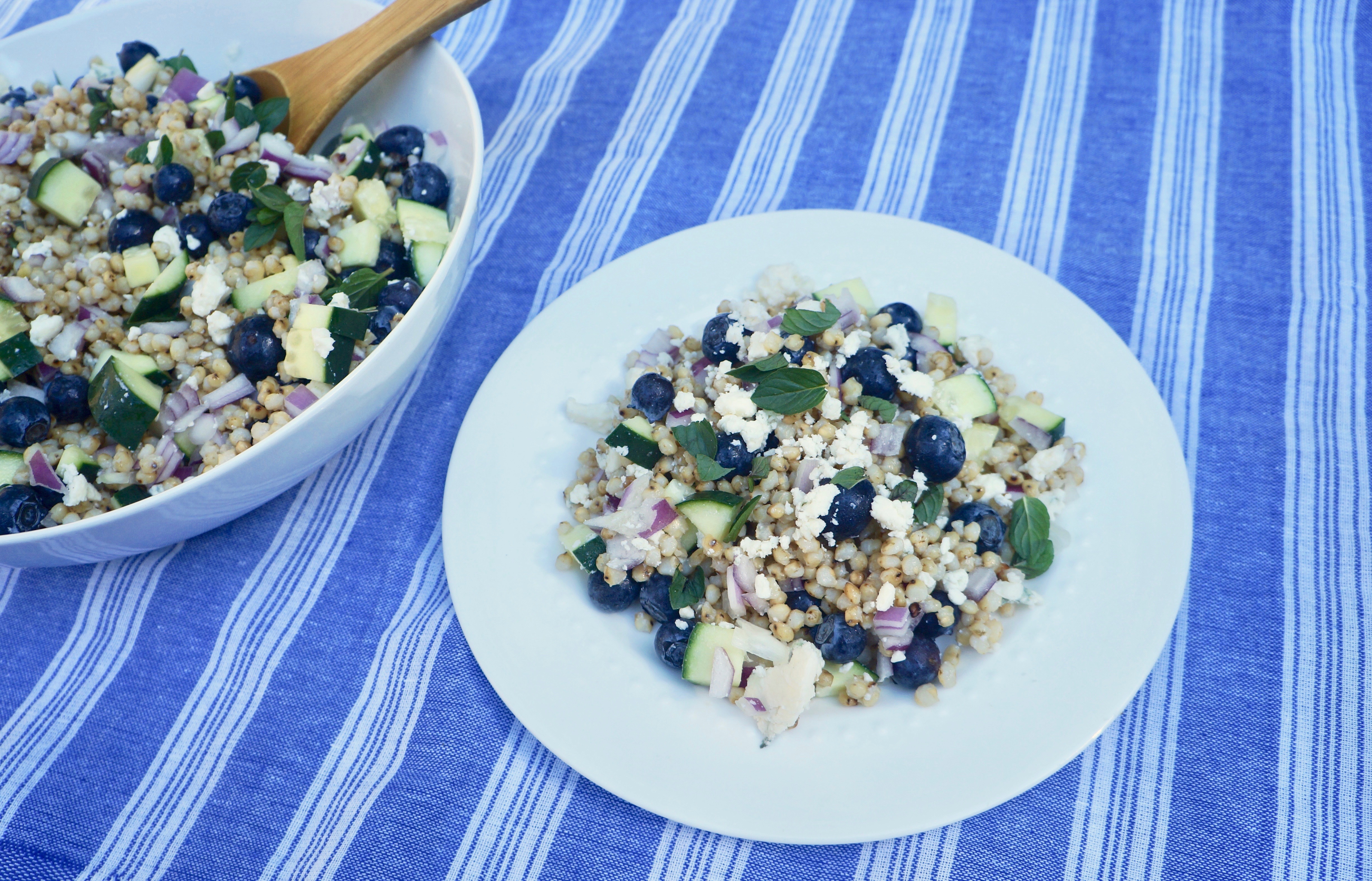 sorghum & blues salad with blueberries and blue cheese