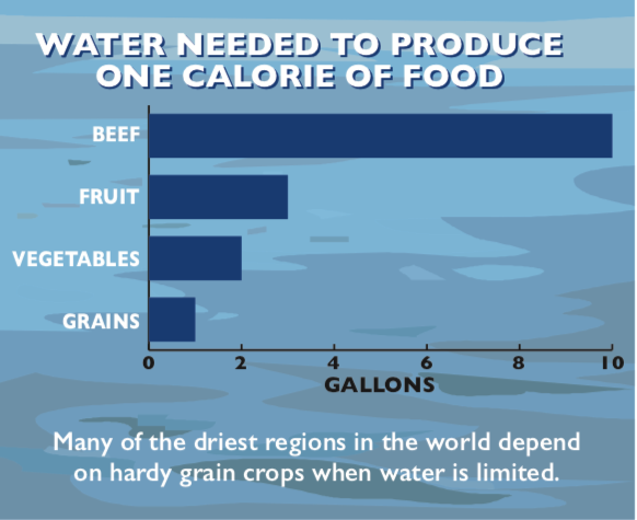 Infographic showing low water requirements for grains