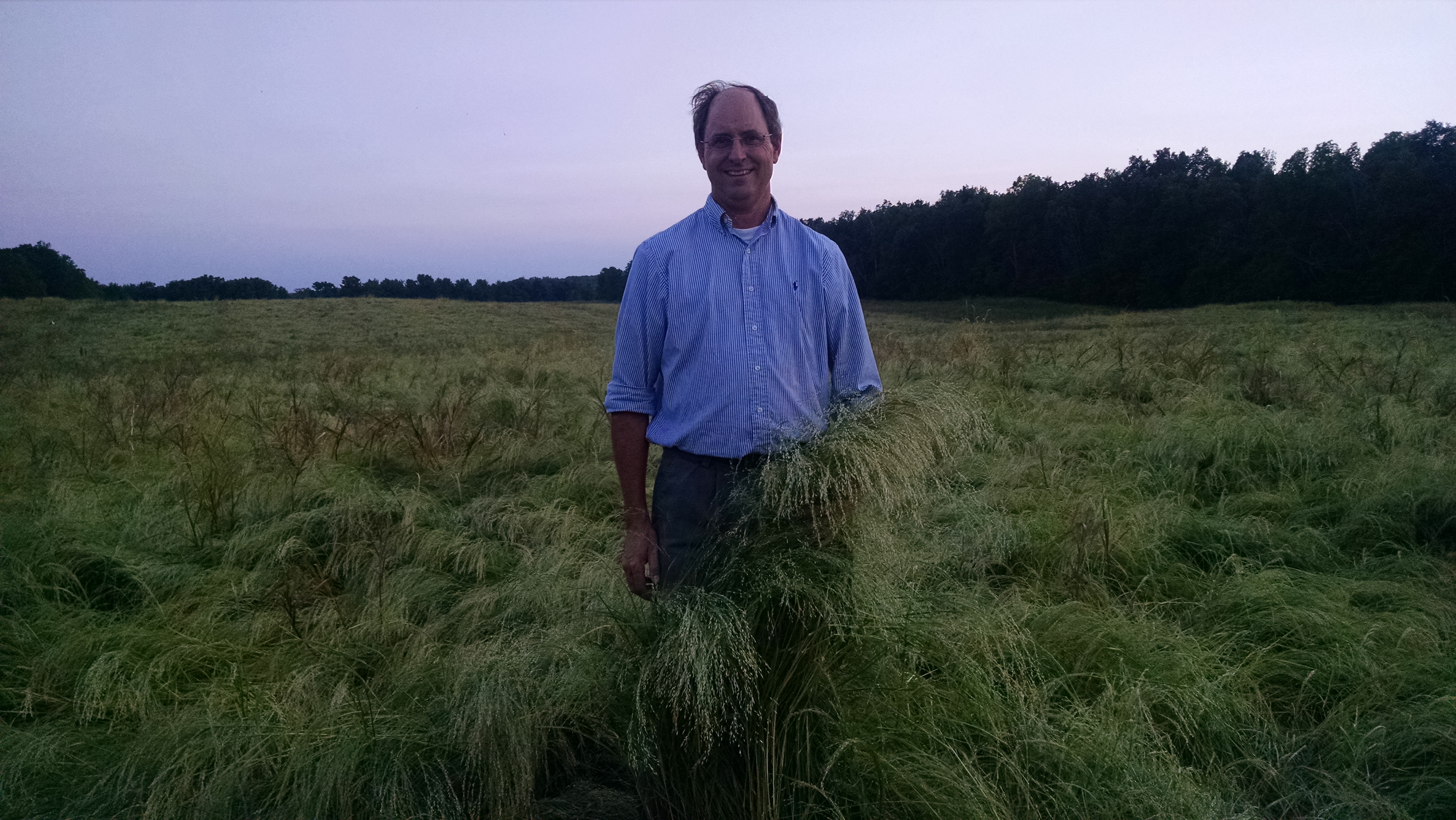 Farmer standing in a field of teff