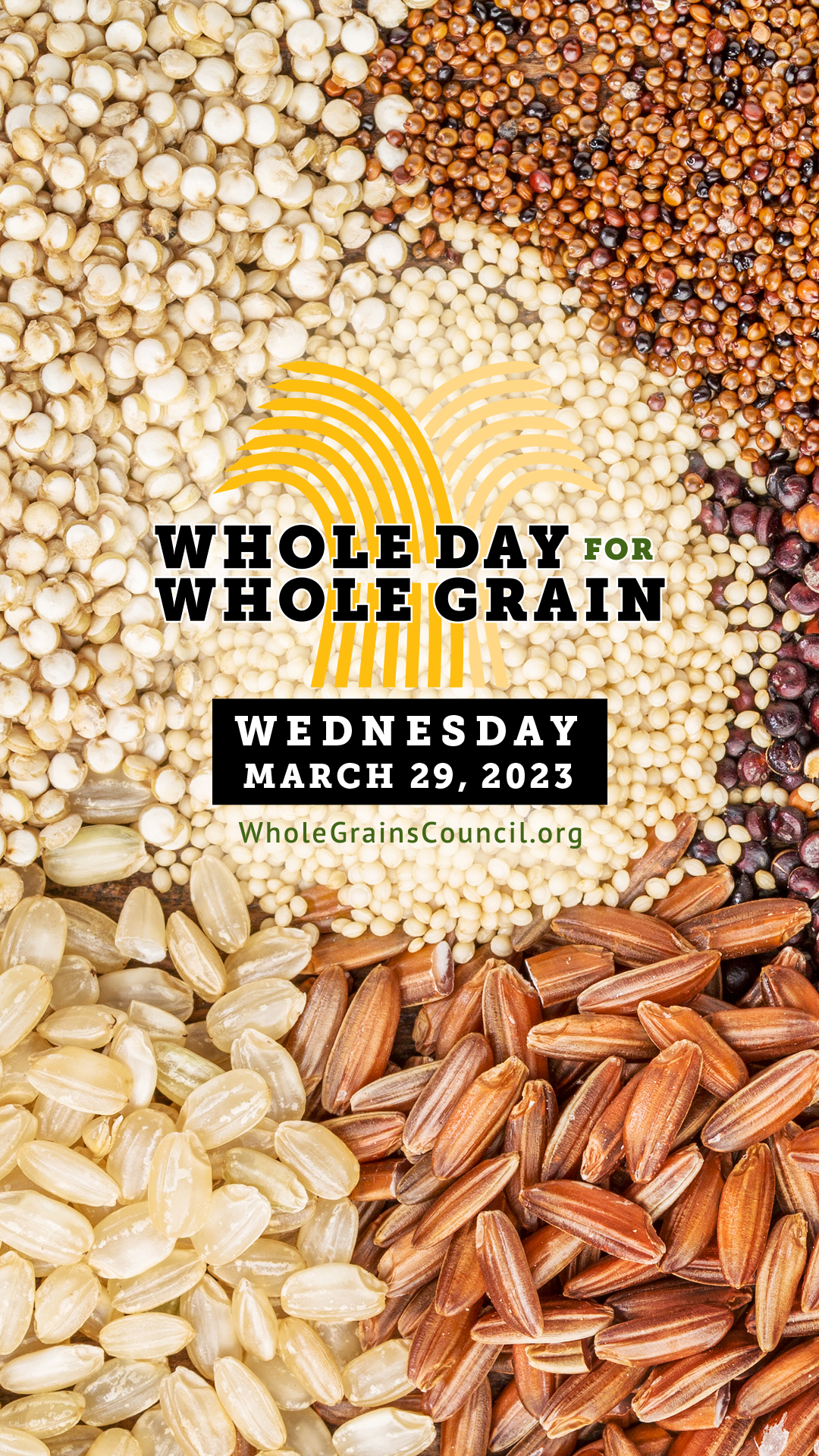 Whole Day for Whole Grain logo for IG stories