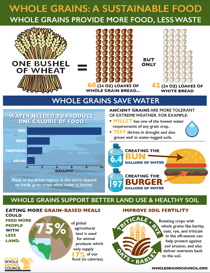 infographic about whole grains and sustainability