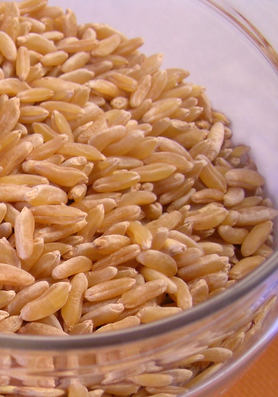A bowl full of Kamut grain