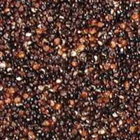 Black-quinoa.jpg