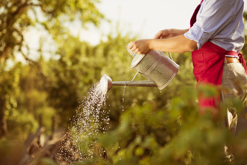 Gardener Fotolia 55915935 S.jpg