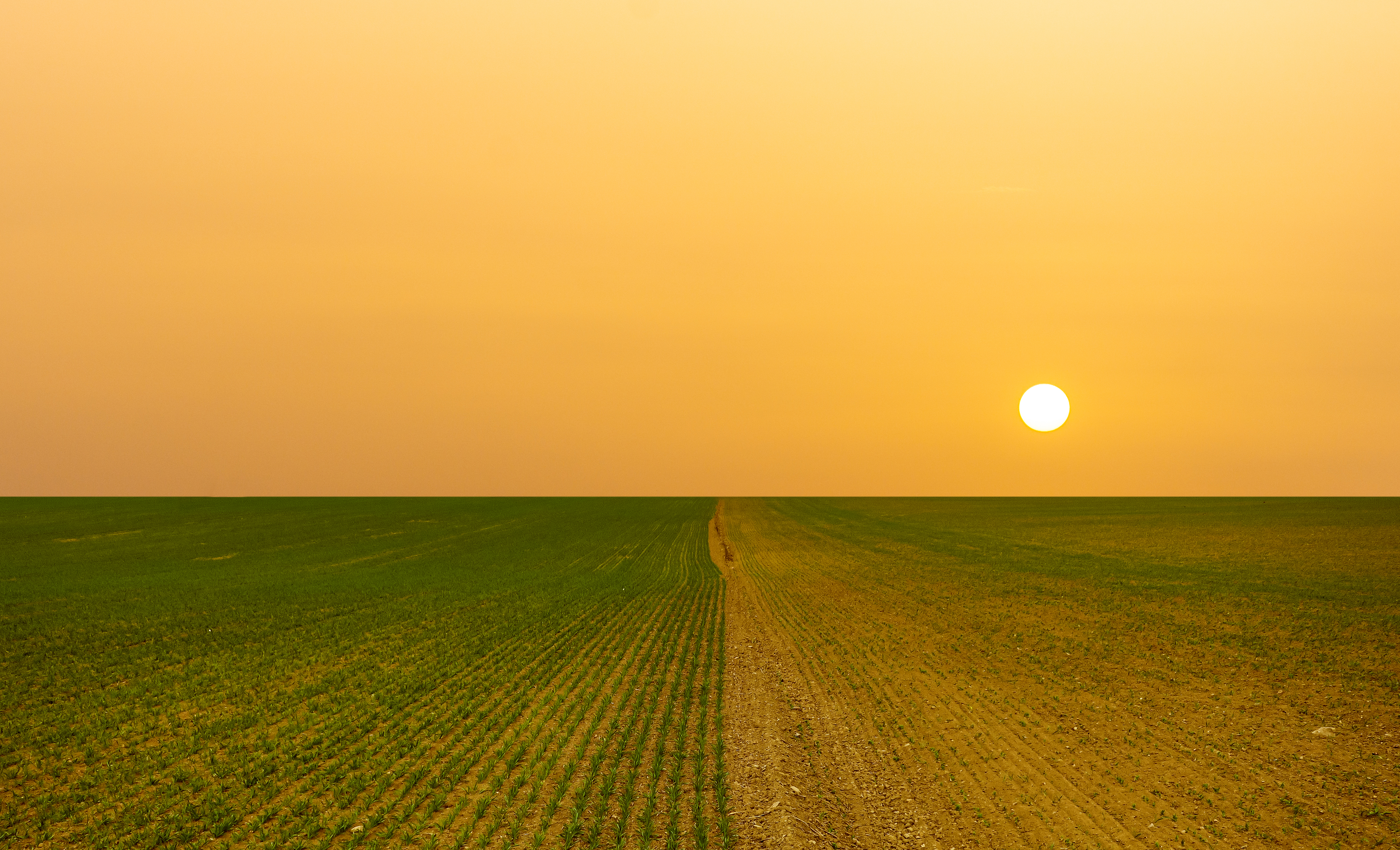 photo o hot sun over field experiencing drought