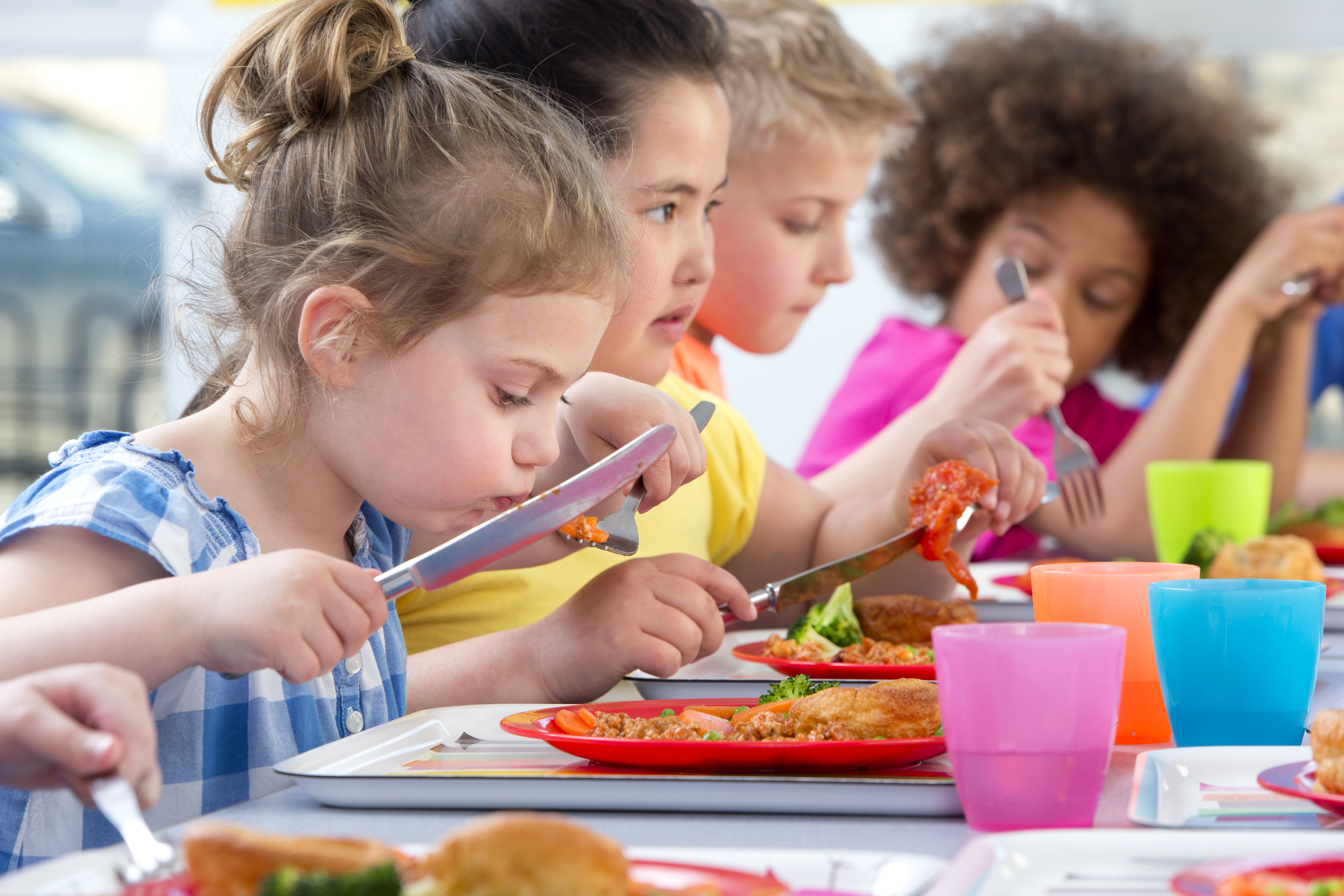 Students enjoying lunch in the cafeteria