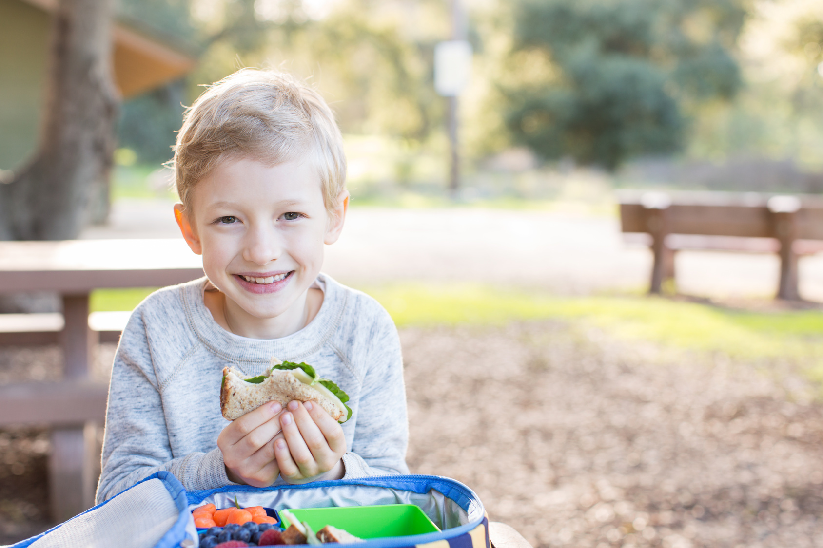 Young Boy Eating a Sandwich on Whole Wheat Bread